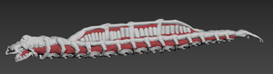 Original high-poly Leviathan model without the modular segments.
